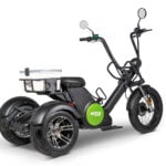 Elektro-Dreirad Nero Golf